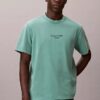 T-shirt clássica com logótipo e efeito de lavagem ácida T-shirt clássica com logótipo e efeito de lavagem ácida