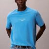 T-shirt clássica com logótipo e efeito de lavagem ácida T-shirt clássica com logótipo e efeito de lavagem ácida