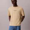 T-shirt clássica de gola redonda com logótipo estampado em cor desbotada