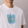 T-shirt com logótipo gráfico Calvin Klein moderno