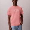 T-shirt Descontraída com Logótipo Gráfico T-shirt Descontraída com Logótipo Gráfico
